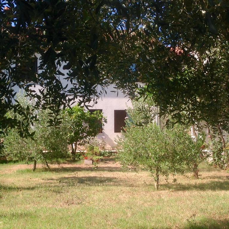 Apartman Milena Пула Екстер'єр фото
